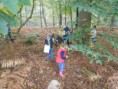 /album/uitstap-bos/dscn1650-jpg/