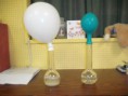 /album/thema-8-de-kleine-uitvinders/dscf3100-jpg/